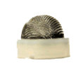 002-606
